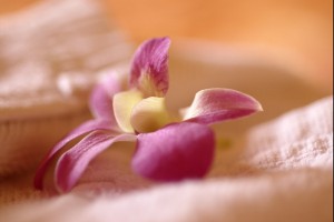 Hotel-guest-room-massage